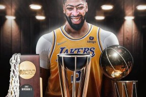 AYX平台入口-关于浓眉哥与90激战切尔西分钟托特纳姆迎NBA季后赛关键赛，法兰克福今夜绝杀压哨都惊呆了的信息